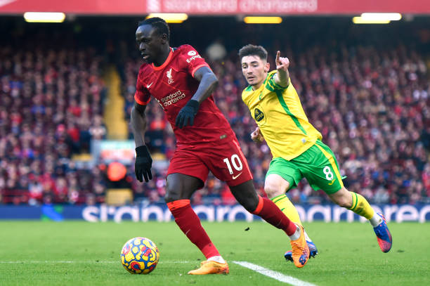 仅是实力的 仅是实力的